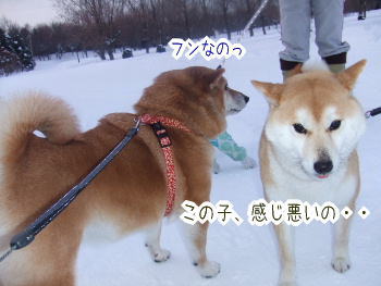 240202-2この子感じ悪いの
