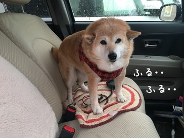 D0DF075E-2490-47A4-A925-7972D6FF3EA9