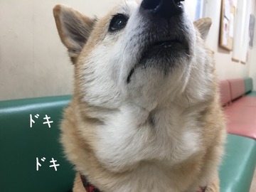 9610DBD4-AD37-4779-8C0C-AFF2DABF4B17