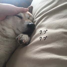 A310ECBA-217F-444B-A904-7B2D2D4AD0E0