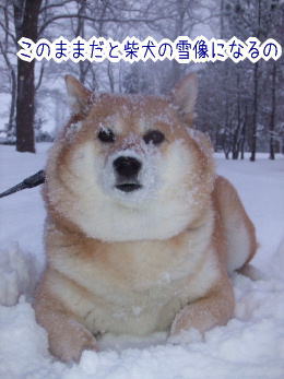 240207-15また雪だるまになるの