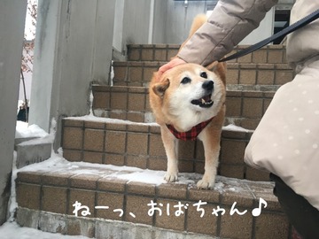 530B9605-9276-461D-94E1-987FCF00F333