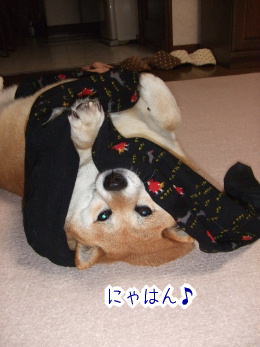 240209-7にゃはん