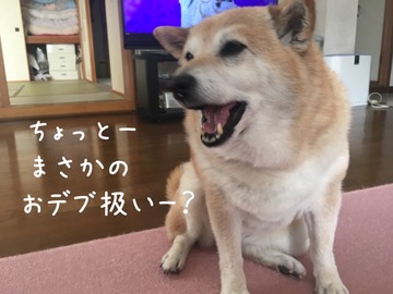 B682C003-4A0B-483E-809E-650BDEE12C3F