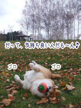 231113-5だって〜