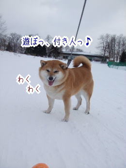 240209-1きゃっほ〜