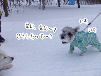 240202-7なになに〜