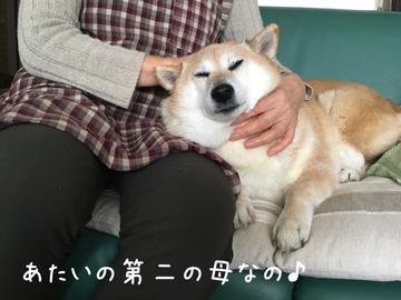 C380FBAA-8B6B-4A79-BC80-8F01EA69409C