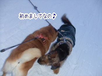 240202-12初めましてなの