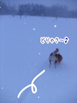 240210-11とりゃさ〜