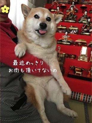 C42A8CE2-8CD7-4126-A018-0D9D053BD26B