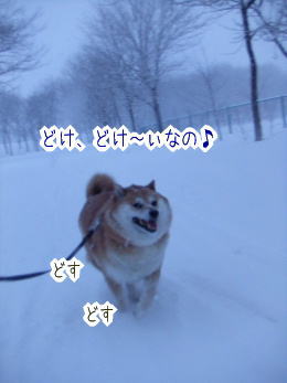 240207-14っしゃ!