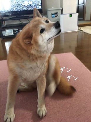 5F9FFFCA-E369-4470-8D5A-16D71FF5EE8B