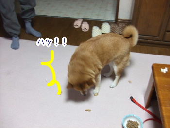 240205-7はっ!