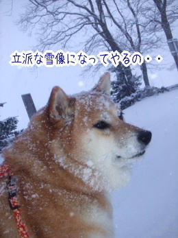 240210-2こーてぃんぐ