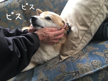 063A7A2E-8812-4116-B560-72EF269B257F