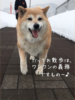 72C0B17C-0CDC-475D-A882-A98381A5B99F