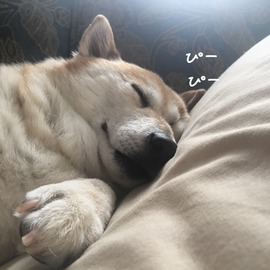 EF7CC479-8841-40A6-83BC-3D78F7B66D54