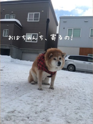 92AF3FE8-27B2-4281-AA23-890998FF098D