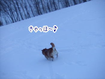 240209-6きゃっほ〜