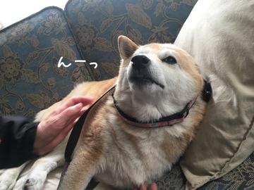 4428B960-0AC4-4DD5-A69B-9FE372CE41CC