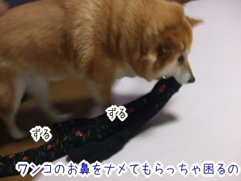 240209-8ずるずる