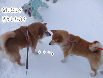240202-3どうしたの?