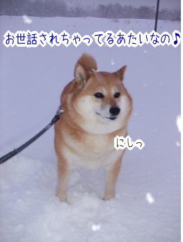 240210-4にしっ
