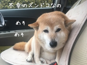 005DCA76-B4D5-4722-80A1-22E194C87EE0