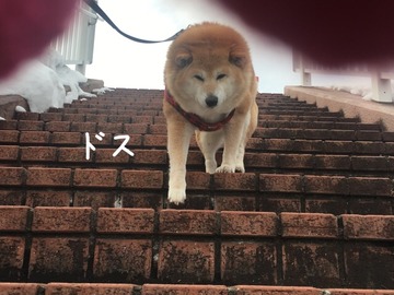 003AEFCD-A6AE-4BEC-8DD0-7CABDADCA571