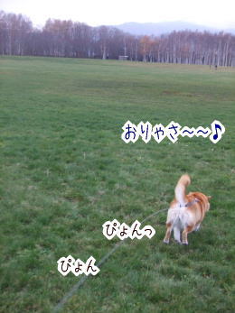 231113-10こりゃさ〜