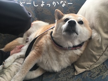 0009AFF8-31B9-467E-82B5-735D8F2C679C