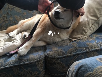 25259D3E-BEAB-4078-9EB5-3E2072E6433F