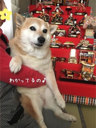 EF1682CA-283A-46B7-B835-642273F7D392