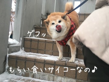 1ED27398-4819-4E9F-BDE6-2388B8AFC0AA