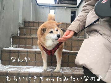 006BE7F1-5352-4AFC-9E2C-0C2A40EA4FE1