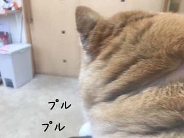 C85A821A-E1DB-48BD-A4CC-FF124F6D242C