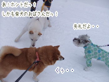 240202-9え?こんなに