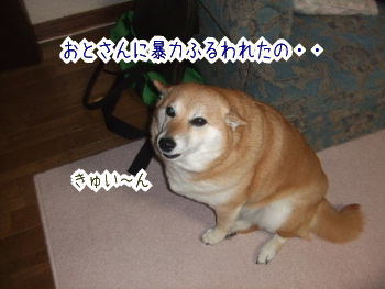 240205-8おとさんに暴力