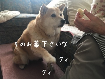 B157D97D-401B-4C67-98C4-3B14F4BBDF8C