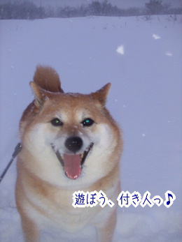 240207-16遊ぼう付き人っ