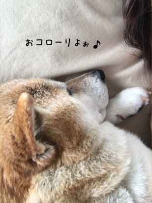 50624D1B-FEAC-41DB-A021-31F7A287CE17