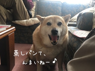 2D3A7E32-B3F4-4263-89BD-AD15F32810DA