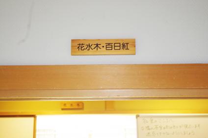 IMGP2833.jpg