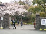 DSCN0383