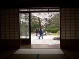 DSCN0412