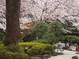 DSCN0402