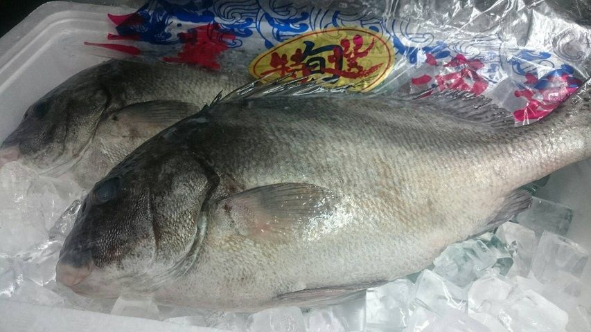 kosyou