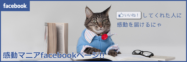 æ„Ÿå‹•ãƒžãƒ‹ã‚¢facebookå…¬å¼ãƒšãƒ¼ã‚¸