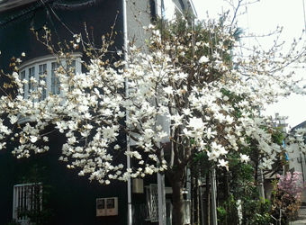 20140329_133049_resized